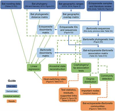 Host Phylogeny, Geographic Overlap, and Roost Sharing Shape Parasite Communities in European Bats